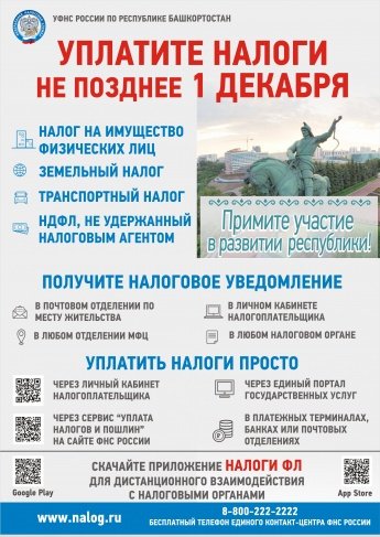 Уплати налоги до 1 декабря 2020г!